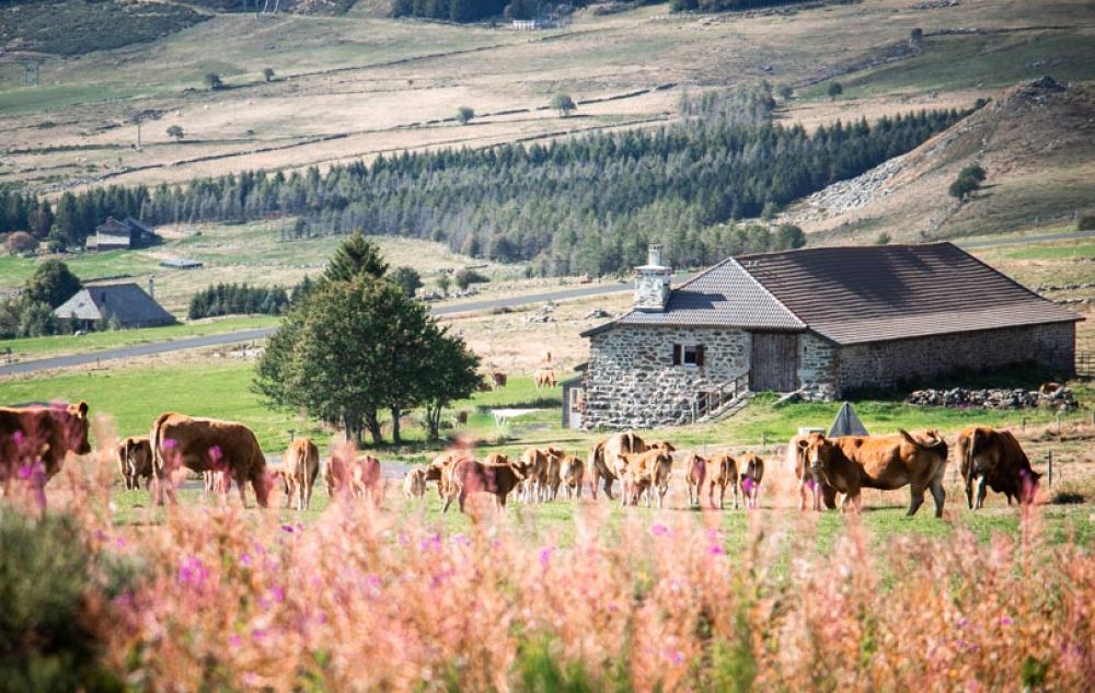 que faire en auvergne